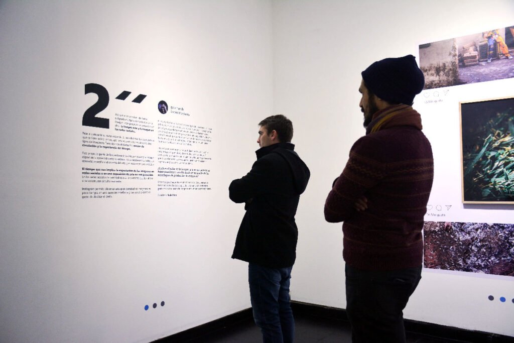 Paula Pino curaduría